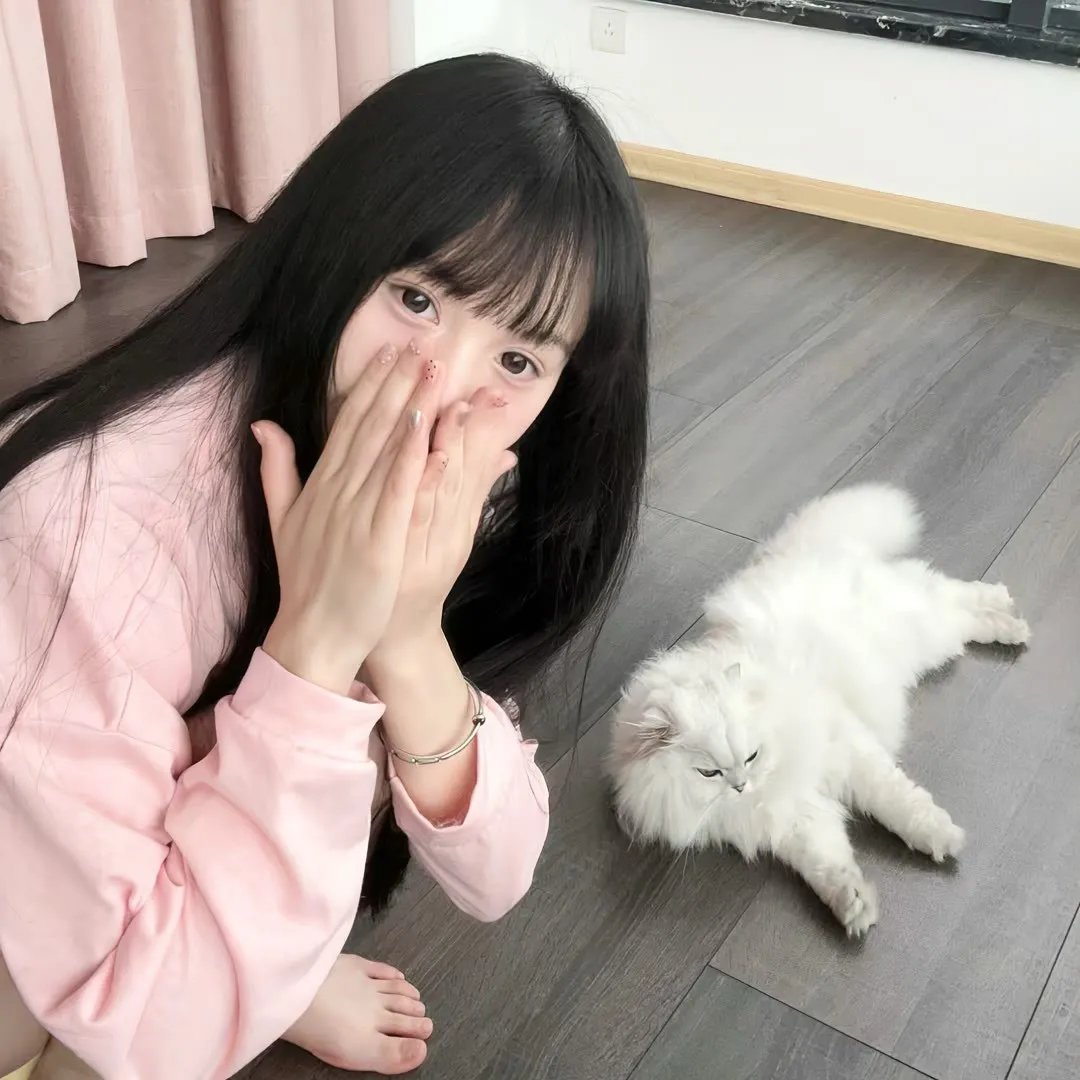 人民公仆第三季